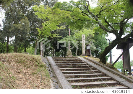奈良公園 奈良公園 45019114