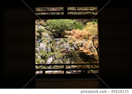 Toshosho-ji寺廟庭院秋葉 Toshosho-ji寺廟庭院秋葉 45019115