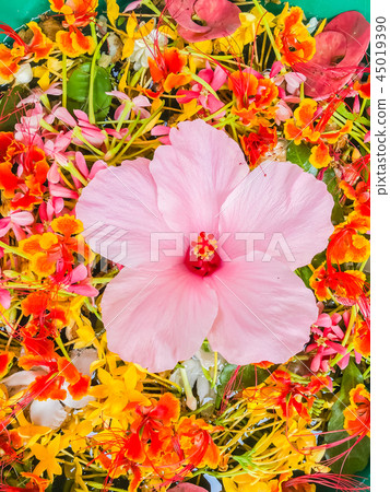 Colorful Flower petals floating in the bowl 45019390