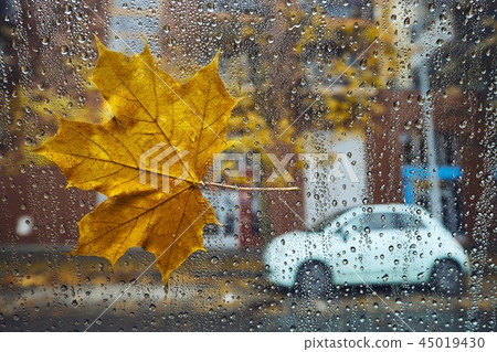 Autumn in the city Autumn in the city 45019430