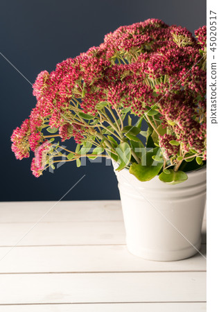 garden flowers at home, white wooden table garden flowers at home, white wooden table 45020517