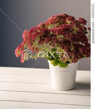 garden flowers at home, white wooden table 45020521