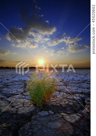 A cracked land A cracked land 45020602