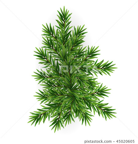 Colorful realistic 3D Christmas and New Year Christmas tree branch. Vector Illustration Colorful realistic 3D Christmas and New Year Christmas tree branch. Vector Illustration 45020605