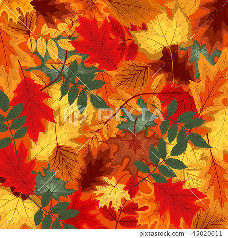 Naturalistic multicolored autumn leaves beautifully laid out on background. Vector Illustration 45020611
