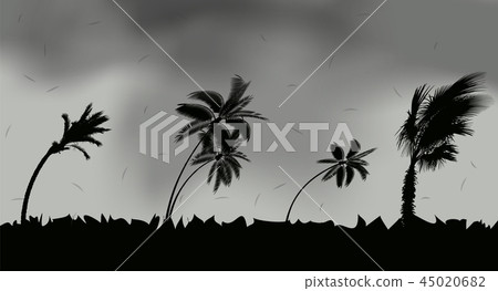 Palm trees during storm and hurricane. Leaves fly across the sky from a storm. Vector Illustration Palm trees during storm and hurricane. Leaves fly across the sky from a storm. Vector Illustration 45020682