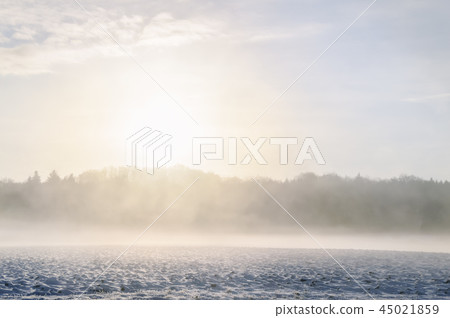 Winter misty sunrise over field and forest Winter misty sunrise over field and forest 45021859