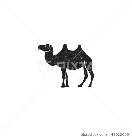Camel icon silhouette design. Wild animal symbol and element isolated on white background. Vintage Camel icon silhouette design. Wild animal symbol and element isolated on white background. Vintage 45022039
