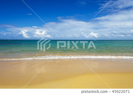 sea surf on the beach sea surf on the beach 45022071