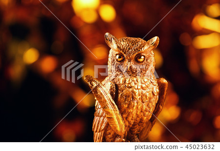 Gold owl figure studio  45023632