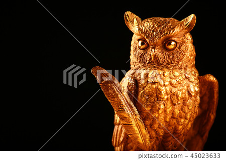 Gold owl figure studio Gold owl figure studio 45023633