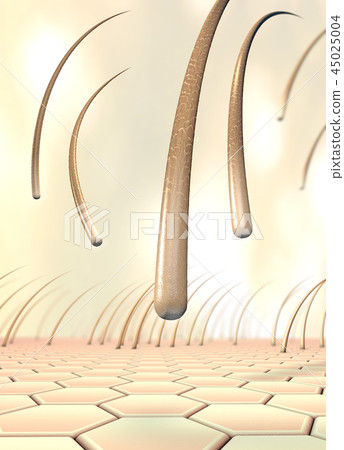 Several falling hairs that detach from the skin 45025004