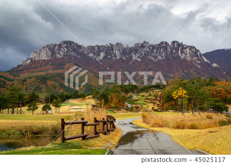 蔚山搖滾 蔚山搖滾 45025117