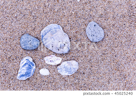 Take a shot. Seashells lined up on a sandy beach. Take a shot. Seashells lined up on a sandy beach. 45025240
