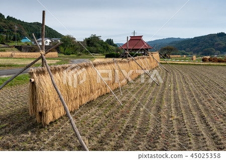Hall and rice-cake 45025358
