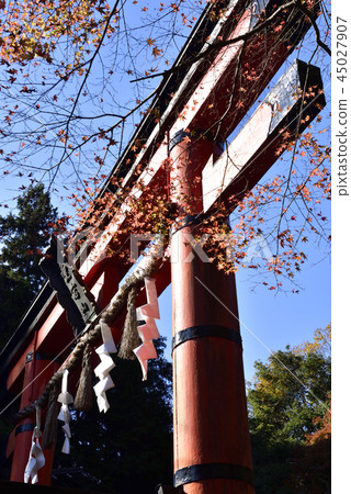 Atago Shrine One Torii Atago Shrine One Torii 45027907