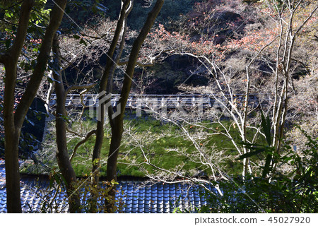 Hiranoya Hiranoya 45027920