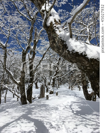雪山步行 雪山步行 45027932