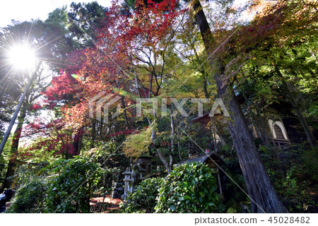 佛教牧師 45028482