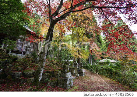 Buddhist priest 45028506