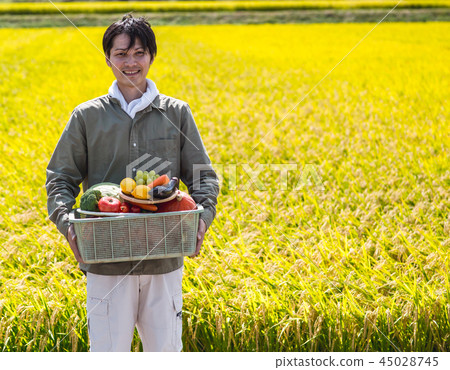 Crop harvest 45028745
