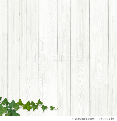 Background-Board-Wood-Wall-Moss-Leaves Background-Board-Wood-Wall-Moss-Leaves 45029516