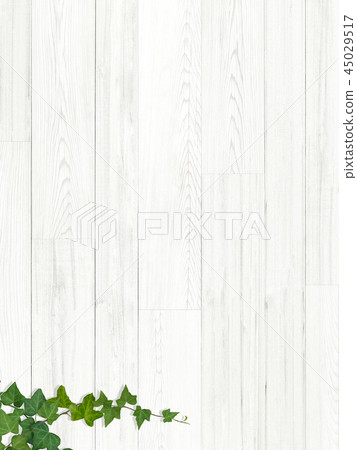 Background-Board-Wood-Wall-Moss-Leaves Background-Board-Wood-Wall-Moss-Leaves 45029517