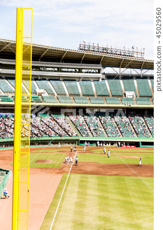 Baseball field watching baseball 45029560