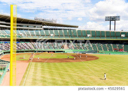 Baseball field watching baseball 45029561