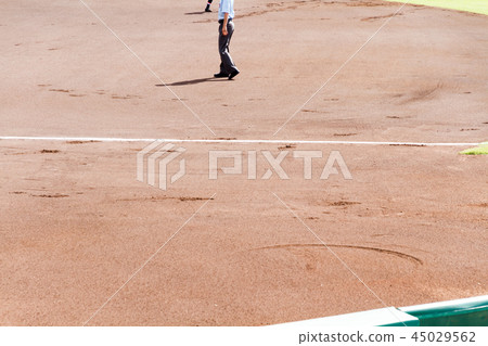 Baseball field watching baseball 45029562