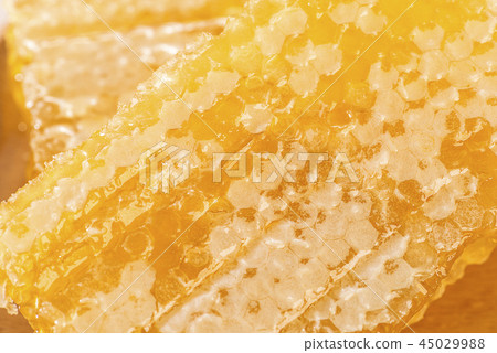 蜂窩蜂蜜特寫鏡頭 蜂窩蜂蜜特寫鏡頭 45029988