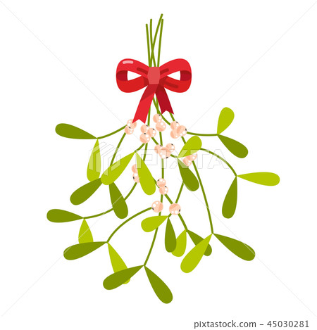 Mistletoe with red bow 45030281