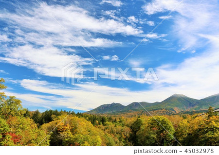 Hokkaido Autumn sunny blue sky and autumn leaves landscape 45032978