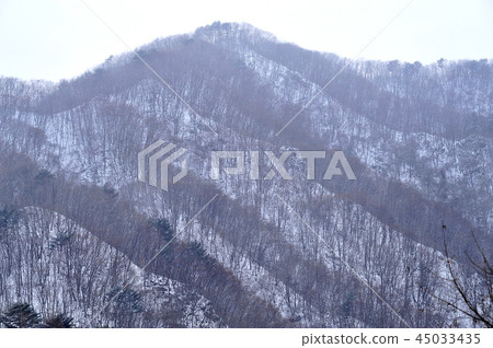 冬季附屬 45033435