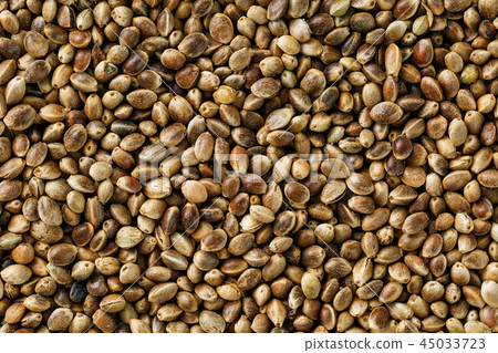 Hemp seeds. Close up. Space for text. 45033723