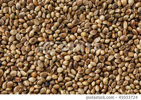 Hemp seeds. Close up. Space for text. 45033724