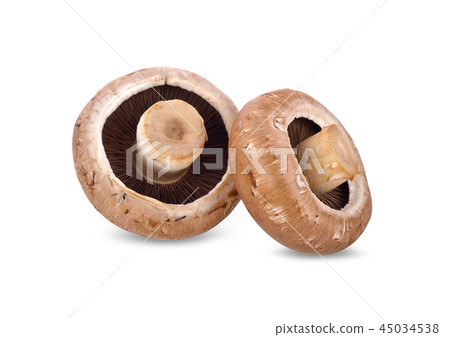 whole fresh champignon mushrooms on white 45034538
