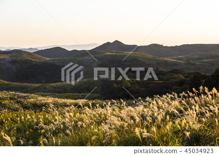 Susuki Hiraodai no Susuki 45034923