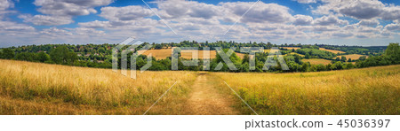 Panorama or rural Surrey landscape 45036397