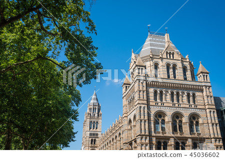 Natural History Museum in London 45036602