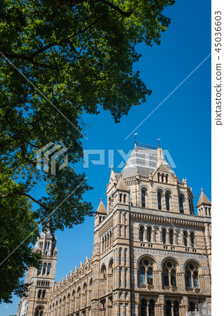 Natural History Museum in London 45036603