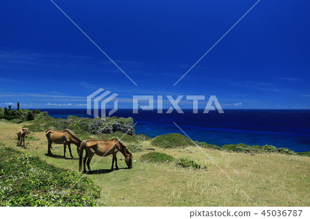 Landscape with Yonaguni Island Landscape with Yonaguni Island 45036787