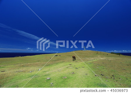 與那國島的東崎和Yonaguna 與那國島的東崎和Yonaguna 45036973