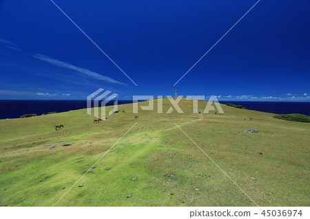 與那國島的東崎 45036974