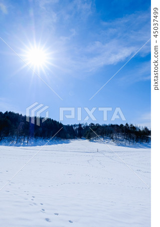 Nakayama高原在冬天 45037499