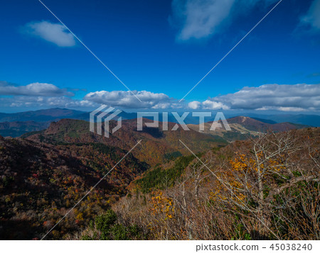 Snowy mountain of autumnal leaves Snowy mountain of autumnal leaves 45038240