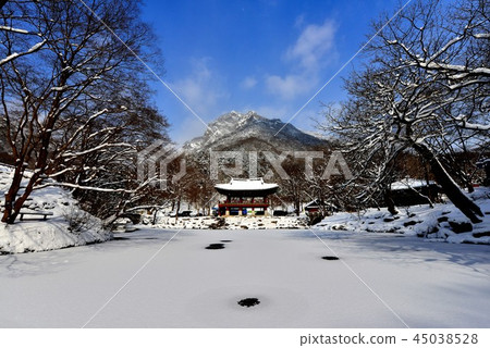 Ssanggul winter 45038528