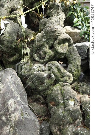 Shibatano神社的餃子 Shibatano神社的餃子 45038747