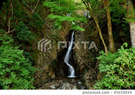 Tanzawa Oyama Double Waterfall 45038934
