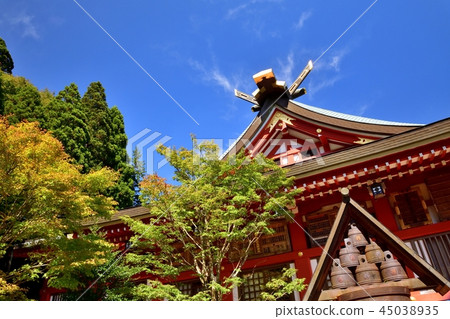 Oyama Akutoshi Shrine 45038935